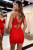 Bodycon Spaghetti Straps Red Homecoming Dress With Aqqliques TN415-Tirdress