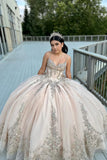 Gorgeous Ball Gown Sequined Lace Pear Pink Prom Dress TP1350-Tirdress